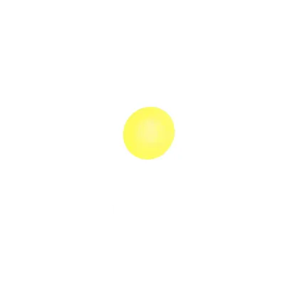 데이지꽃
