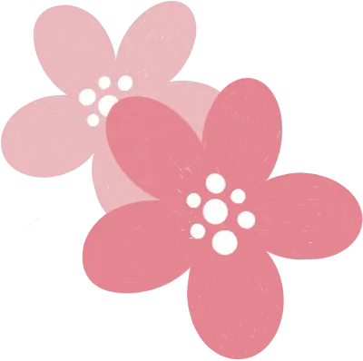 꽃