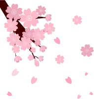 벚꽃