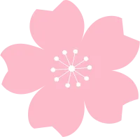 벚꽃