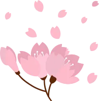 벚꽃