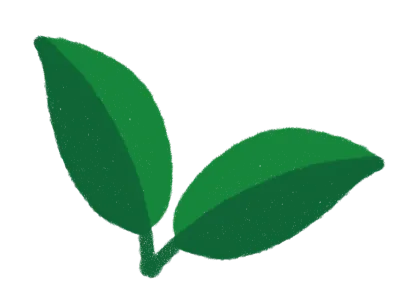 동백2