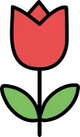 튤립