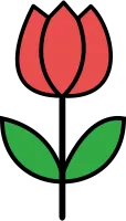 튤립