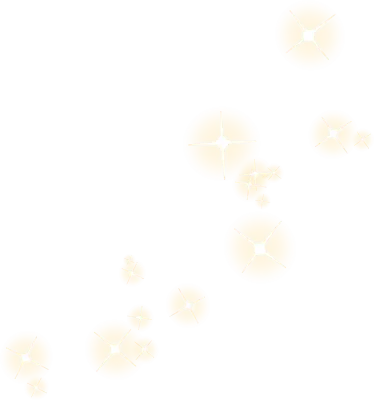 반짝이 39