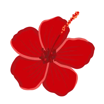Red hibiscus with rich petals and yellow stamen  bold, vibrant, and radiating exotic charm.