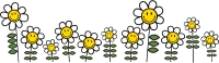 smile스마일