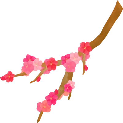 매화