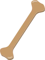 뼈다귀