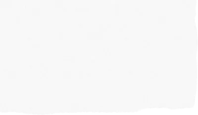 잘린 종이