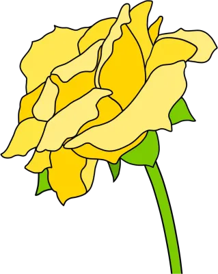 꽃