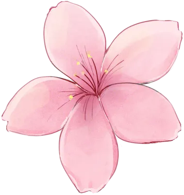 벚꽃