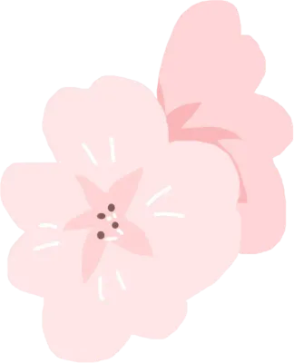 벚꽃01
