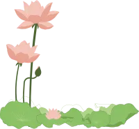 연꽃
