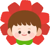 카네이션