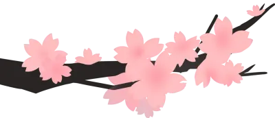 벚꽃