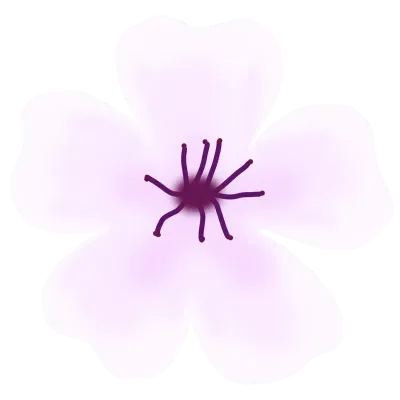 벚꽃