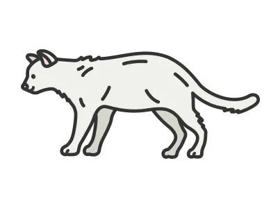 白猫のイラスト