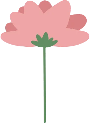 카네이션 꾸밈