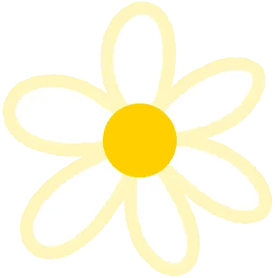 데이지 꽃