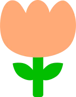 튤립