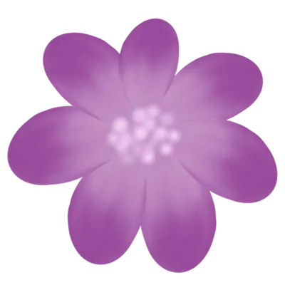 꽃