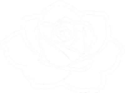 장미 rose