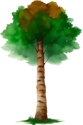 나무 tree