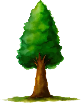 나무 tree