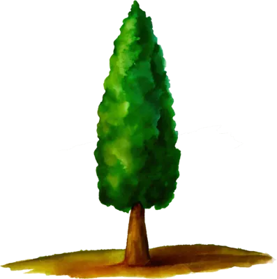 나무 tree