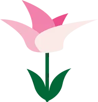 튤립