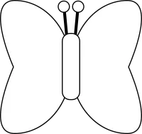 나비