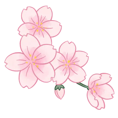벚꽃