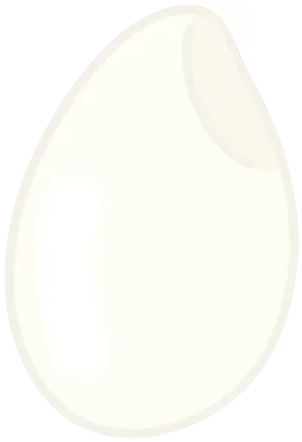 쌀알