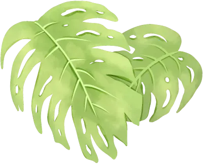 leaf