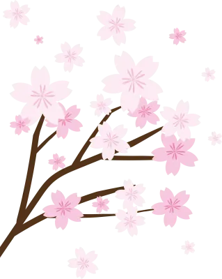 벚꽃