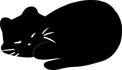고양이