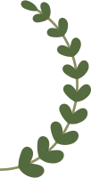 Leaf Shape