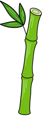 대나무