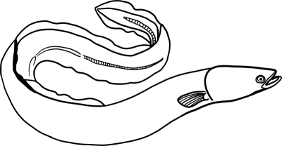 장어