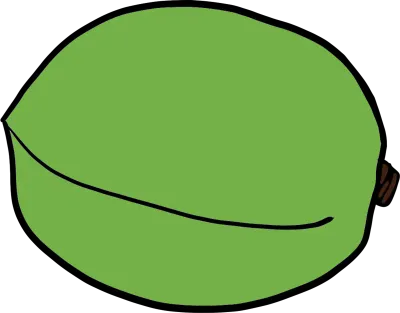 매실