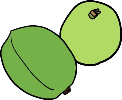 매실