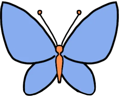 나비