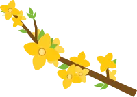 240402_개나리가지