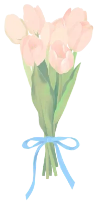 튤립 꽃다발