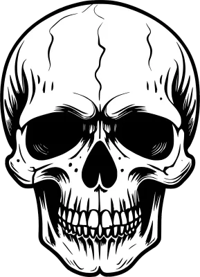 skull