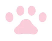 고양이 발바닥