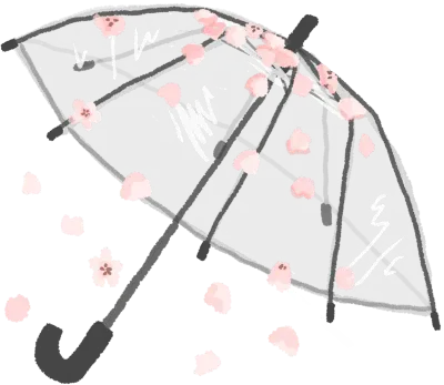 벚꽃 우산