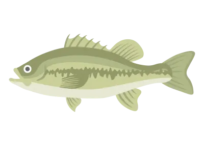 ブラックバスのイラスト