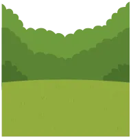 숲 2
